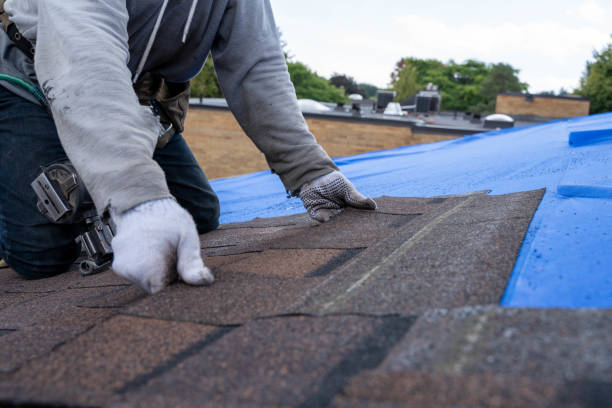 Roof Gutter Cleaning in Lincoln, MT